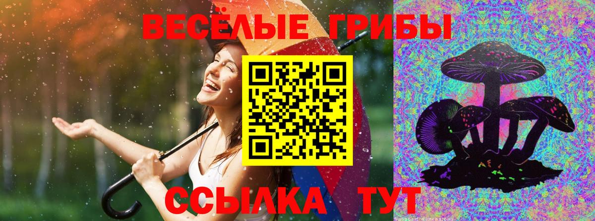 Галлюциногенные грибы прущие грибы  Вход с VPN  Заволжье 